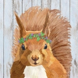 Eichhörnchen mit Blumenkranz - Squirrel with flower wreath - Écureuil avec couronne de fleurs