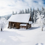 Holzhütte im Schnee, schneebedeckte Tannen - Wooden cabin in the snow, snowy fir -Cabane en bois dans la neige, sapin enneigé