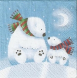 Mutter & Kind Eisbär - Mother & Child polar bear - Mère et enfant ours polaire