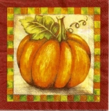 Prachtkürbis - Splendor pumpkin - Splendor citrouille