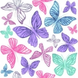 Viele bunte, kleine und große Schmetterlinge - Many colorful, small and big butterflies - Beaucoup de papillons colorés, petits et grands