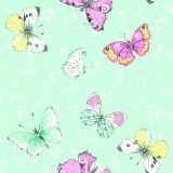 Zarte, hübsche Schmetterlinge überall - Delicate, pretty butterflies everywhere - Délicats, jolis papillons partout