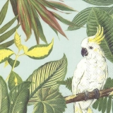 Haubenkakadu im Urwald - cockatoo in the jungle - cacatoès dans la jungle