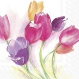 Buntes Tulpenbeet - Colorful tulip bed - Lit de tulipe coloré