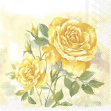 Wunderschöner Rosenstock, gelb - Beautiful rosebush, yellow -Beau rosier, jaune