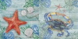 Holzbretter, Koralle, Seesterne & Krabbe - Wooden boards, corals, starfish & crab - Planches de bois, coraux, étoiles de mer et crabe