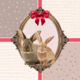 Hasenfreunde im Rahmen - Bunny friends in frame - Bunny amis dans le cadre