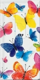 Bunte Schmetterlinge - Colourful butterflies - Papillons colorés