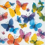 Schmetterlinge in wunderschönen Farben - Butterflies in beautiful colours - Papillons dans de belles couleurs