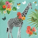 Hübsche Giraffe - Pretty giraffe - Jolie girafe