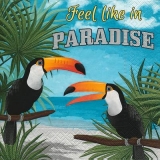 Strand, Meer, Palmen & Tukane - Feel like in Paradise - Beach, sea, palm trees & toucans - Plage, mer, palmiers et toucans