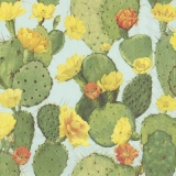 Blühende Kakteen - Blooming cactuses - Cactus en fleurs