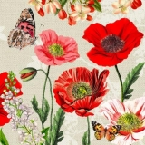 Schmetterlinge an Mohnblüten & anderen Blumen  - Butterflies on poppies & other flowers -Papillons sur les coquelicots et autres fleurs