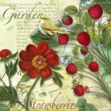 Kleiner Vogel im Erdbeergarten - Little bird in the strawberry garden - Petit oiseau dans le jardin de fraises