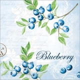 Blaubeeren pflücken - Picking  blueberries - Cueillir des myrtilles