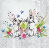 2 Hasen im Blumenbeet - 2 rabbits, bunnies in the flowerbed - 2 lapins dans le parterre