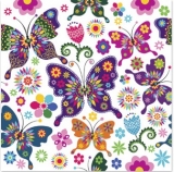 Viele bunte Schmetterlinge - Many colorful butterflies - Beaucoup de papillons colorés