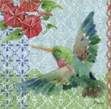 2 Vögel im Baum (Kolibri) - 2 birds in a tree (hummingbird) - 2 oiseaux dans larbre (colibri)