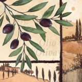Oliven aus dem Mittelmeerraum - Olives from the Mediterranean - Olives de la Méditerranée