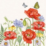 Schmetterlinge an Mohnblumen & Kornblumen - Butterflies on poppies & cornflowers - Papillons sur les coquelicots et les bleuets