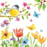 Vogel, Blaumeise im Obstbaum, Schmetterlinge & Blumen - Bird, blue tit in the fruit tree, butterflies & flowers - Oiseau, mesange bleue dans l arbre fruitier, papillons et fleurs