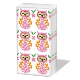 bunte Eulen - colorful owls - chouettes colorées