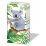 süsser Koala im Eukalyptusbaum - sweet koala in eucalyptus tree - koala sucré dans leucalyptus