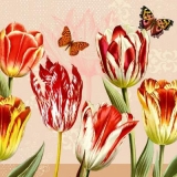 Schmetterlinge & Tulpen - Butterflies & Tulis - Papillons et tulipes