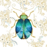 Wunderschöner Skarabäus - Beautiful scarab - Beau scarabée
