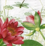 wunderschöne Lilien & Libelle - beautiful lilies & dragonfly - beaux lys et libellule