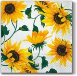 schöne Sonnenblumen - beautiful sunflowers - beaux tournesols