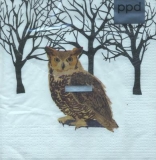 Eule im Schnee vor kahlen Bäumen - Owl in the snow in front of bare trees - Chouette dans la neige devant des arbres dénudés