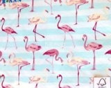 Flamingos - flamants roses