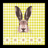 Hasenkopf, Hase - Rabbit head, bunny - Tête de lapin, lapin