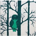 Eule im Winterwald - Owl in the winter forest - Chouette dans la forêt d hiver