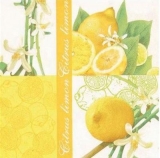 Zitronen & Zitronenblüten - Lemons & Lemon Blossoms - Citrons et fleurs de citron