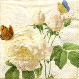 wunderschöne weisse Rosen & 3 Schmetterlinge - beautiful white roses & 3 butterflies - belles roses blanches et 3 papillons