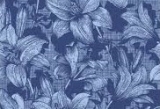 schöne dunkelblaue Nelken - beautiful dark blue carnations - beaux oeillets bleus foncés