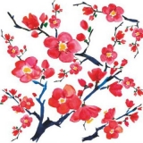 schöne Apfelblüten - beautiful apple blossoms - belles fleurs de pomme