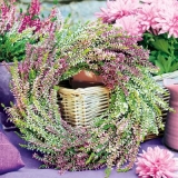 Weidekorb mit Heidekraut Kranz - Wicker basket with heather wreath - Panier en osier avec une couronne de bruyère