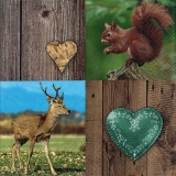 Hirsch, Eichhörnchen, Herzen & Holzwand - Deer, squirrel, hearts & wooden wall - Cerf, écureuil, coeurs et mur en bois