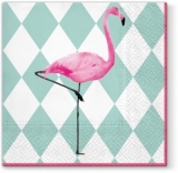 Flamingo - Flamant