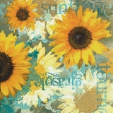 Wunderschöne Sonnenblumen - Beautiful sunflowers - Beaux tournesols