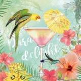 Papagei & Kolibri im Paradis mit einem Cocktail - Parrot & Hummingbird in the Paradis with a cocktail - Perroquet & Hummingbird au Paradis avec un cocktail