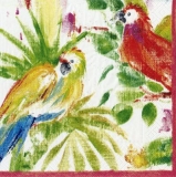 Caspari - 6 gemalte bunte Papageien - 6 painted colorful parrots - 6 perroquets colorés peints