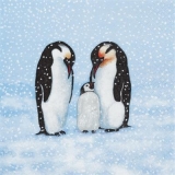 Pinguinfamilie & Schneefall - Penguin family & snowfall - Famille de pingouins et chutes de neige