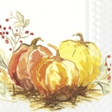 gemalte Kürbisse - painted pumpkins - citrouilles peintes