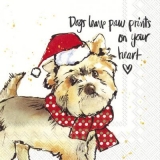 Geschriebenes, Hund mit Weihnachtsmütze & Schal - Written dog with santa hat & scarf - Chien écrit avec Bonnet de Noel et écharpe