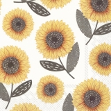 viele Sonnenblumen - many sunflowers - beaucoup de tournesols