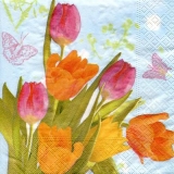 Tulpen & Schmetterlinge